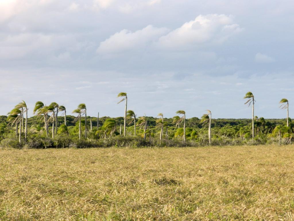 Aldeia Santuario Das Aves Tavares Exterior foto