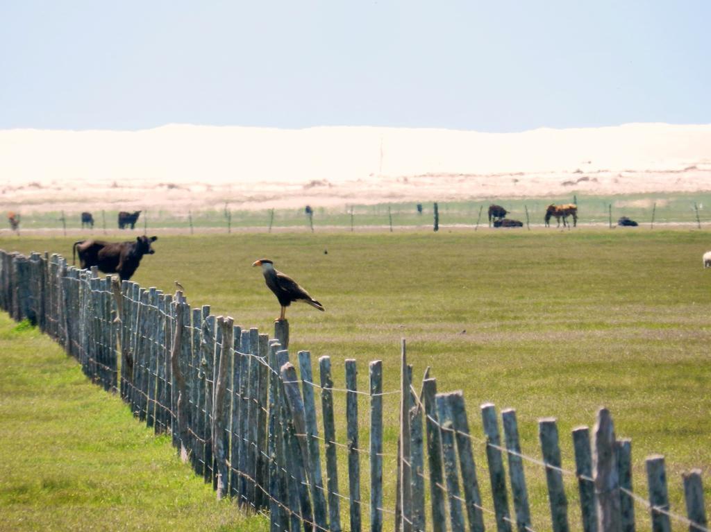 Aldeia Santuario Das Aves Tavares Exterior foto